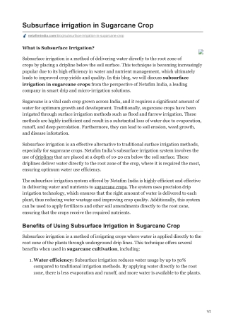 Subsurface irrigation in Sugarcane Crop