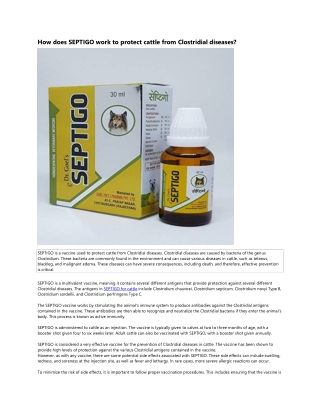 How does SEPTIGO work to protect cattle from Clostridial diseases?