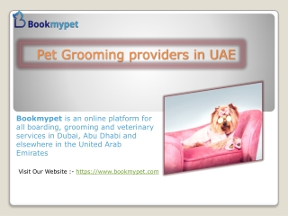 Best Pet Grooming Providers in UAE