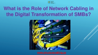 What is the Role of Network Cabling in the Digital Transformation of SMBs