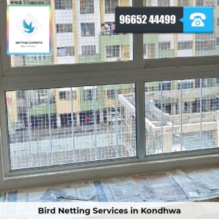 Bird Netting Services in Kondhwa  - Netting Experts