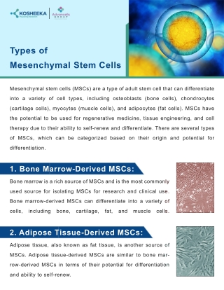 Types of Mesenchymal Stem Cells