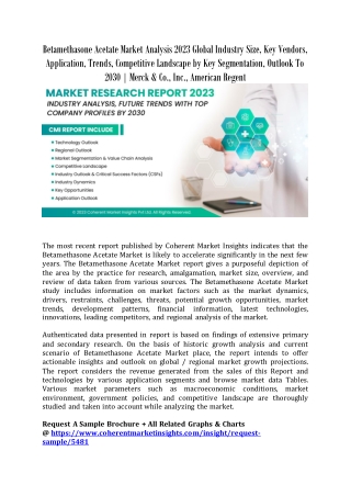 Betamethasone Acetate Market Analysis 2023 Global Industry Size