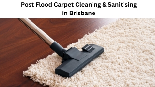 Post Flood Carpet Cleaning & Sanitising in Brisbane