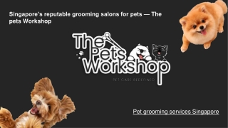 Singapore’s reputable grooming salons for pets — The pets Workshop