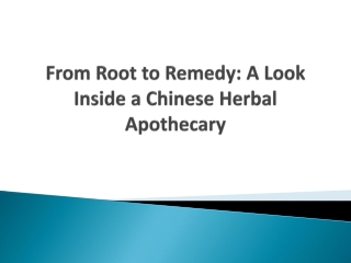 From Root to Remedy - A Look Inside a Chinese Herbal Apothecary