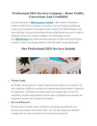 Professional SEO Services Company