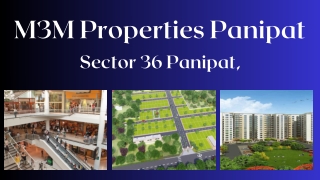 M3M Sector 36 Panipat - PDF