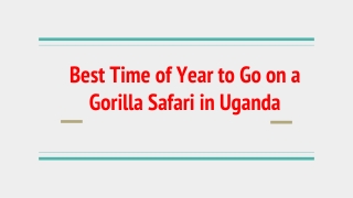 Best Time of Year to Go on a Gorilla Safari in Uganda