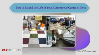 Tips to Extend the Life of Your Commercial Carpet in Nyc