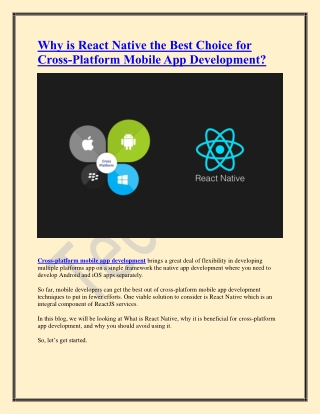 Why is React Native the Best Choice for Cross-Platform Mobile App Development