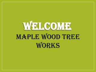 Best Tree services in Wellandport
