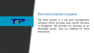 Pest Control Companies in Singapore