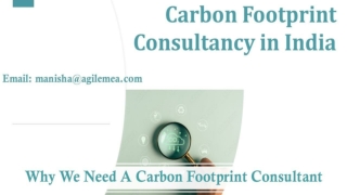 Why we need a Carbon Footprint Consultant