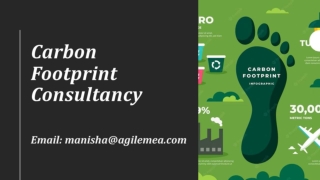 Agile Advisors, A Carbon Footprint Consultancy