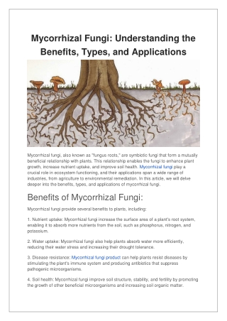 Mycorrhizal Fungi Understanding the Benefits, Types, and Applications