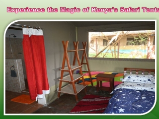 Experience the Magic of Kenya's Safari Tents