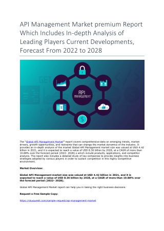 API Management Market premium Report
