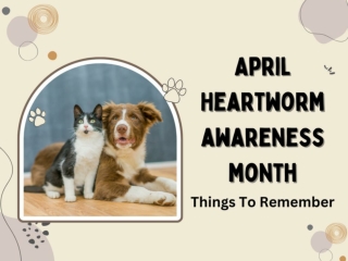 April Heartworm Awareness Month - Things To Remember