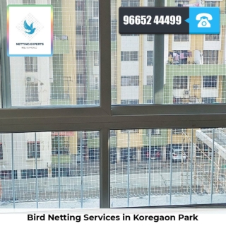 Bird Netting Services in Koregaon Park  - Netting Experts