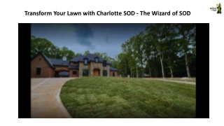 Transform Your Lawn with Charlotte SOD - The Wizard of SOD