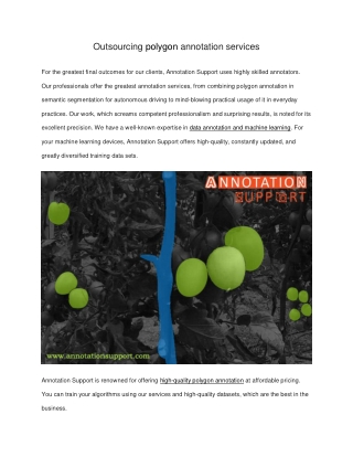 Outsourcing polygon annotation services