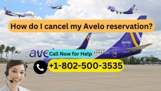 How Do I Cancel My Avelo Reservation?