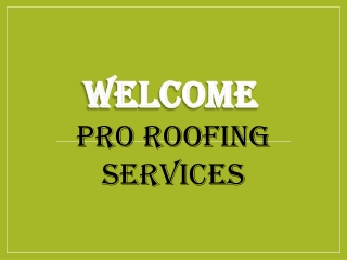 Best Flat Roofing in Palmer