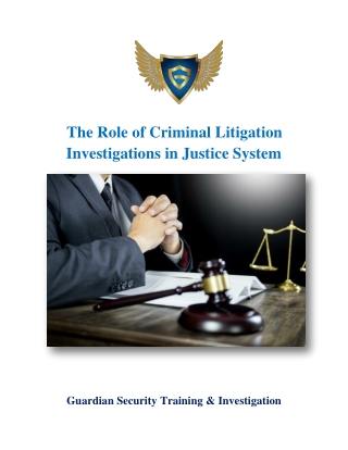 The Role of Criminal Litigation Investigations in Justice System