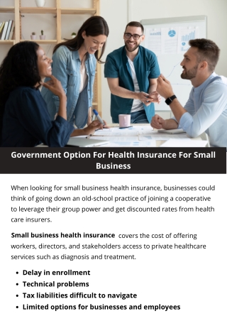 Government Option For Health Insurance For Small Business