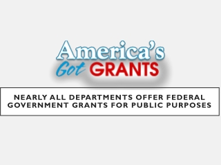 Nearly All Departments Offer Federal Government Grants For Public Purposes