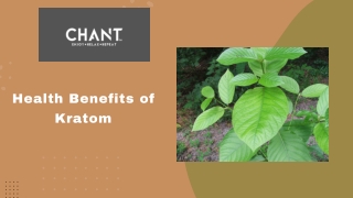 Health Benefits of Kratom