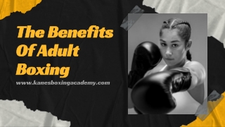 The Benefits Of Adult Boxing _ Professional Boxing