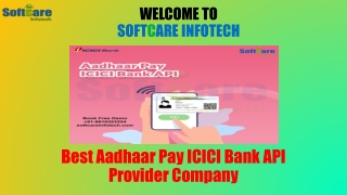 Finest Aadhaar Pay API Company - Softcare Infotech