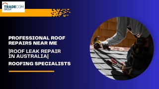 Professional Roof Repairs near Me|Roof Leak Repair in Australia