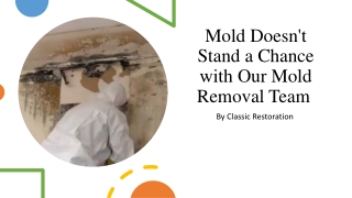 Mold Doesn't Stand a Chance with Our Mold Removal Team