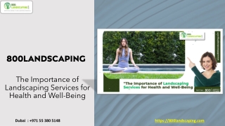 The Importance of Landscaping Services for Health and Well-Being