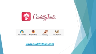 Book Dog Sitters In Lakewood, NJ | CuddlyTails