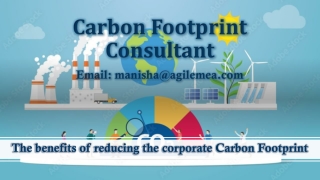 The benefits of reducing the corporate Carbon Footprint