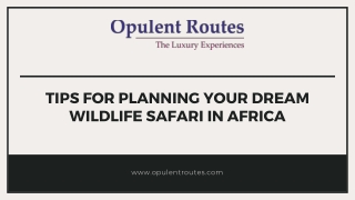 Tips for Planning Your Dream Wildlife Safari in Africa