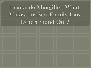 Leonardo Mongillo - What Makes the Best Family Law Expert Stand Out