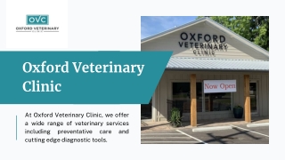 Benefits of Dog Grooming Oxford MS