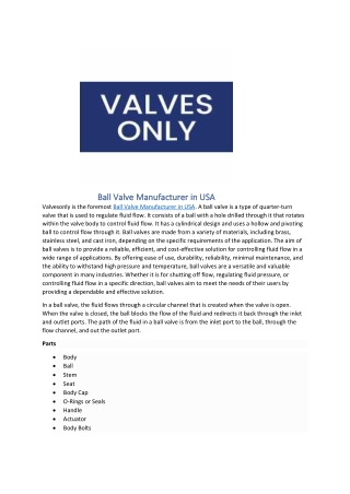 Ball Valve Manufacturer in USA