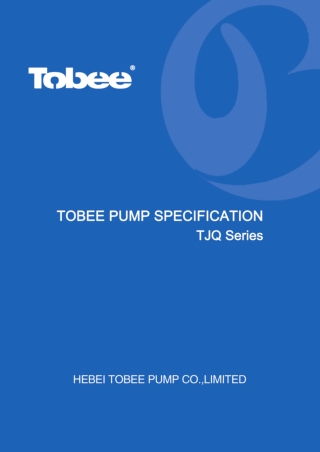 Hydroman TJQ Series Submersible Slurry Pump