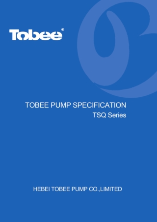 Hydroman TSQ Series Submersible Slurry Pump