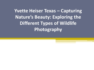 Yvette Heiser Texas – Capturing Nature’s Beauty Exploring the Different Types of Wildlife Photography