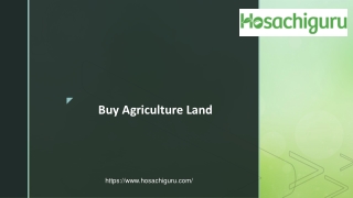 Agriculture Land For Sale in Karnataka - Hosachiguru farmland