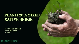 Planting a Mixed Native Hedge