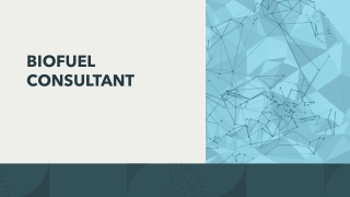 BIOFUEL CONSULTANT