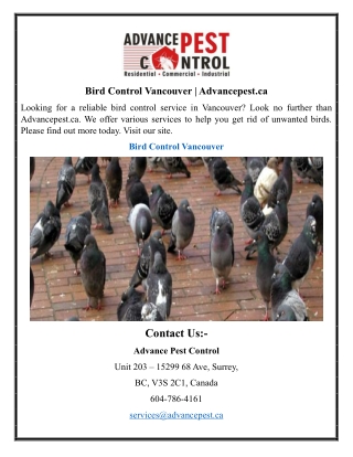 Bird Control Vancouver | Advancepest.ca